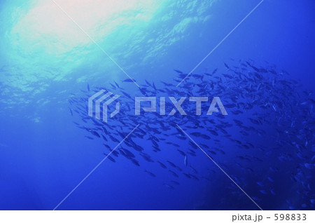 gb018_006