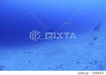 gb018_006