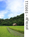 夏の白川郷