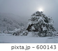 合掌造りでクリスマスツリー