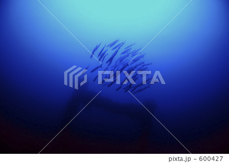 gb018_006