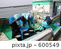 シラスの水揚げ