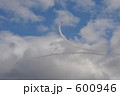 ブルーインパルス　ブレイク！！