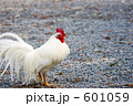 にわとり