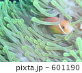 601190