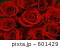 横サイズ。深紅のバラ。