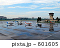 雨上がりの調布飛行場