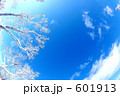 空と樹氷