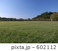 青空の下の緑
