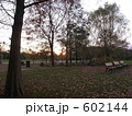 夕暮れの公園