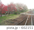 桜の気賀駅