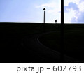 素材ナンバー 602793 : 「帰り道」