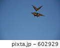 てふてふ