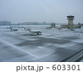 雪の調布飛行場