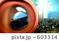 603314