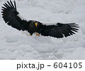 604105