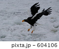 604106