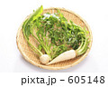 春の七草