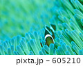 605210