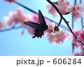 606284