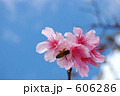 606286