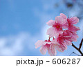 606287