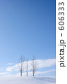 北海道 三本の木