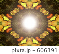 606391