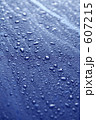 雨上がりのボンネット