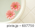 洗面器と花と香り 洗面器と花と香り