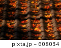 紅葉 18