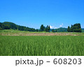 十日町市の田園風景