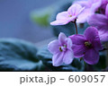 609057