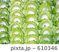 ゴーヤの薄切り