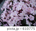 610775