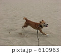 走る
