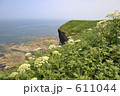 能取岬