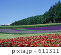 花の富田ファーム