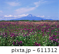エゾミソハギの花と利尻島