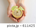 手と双葉