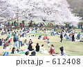お花見を楽しむ人々