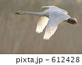 612428