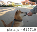 手からご褒美