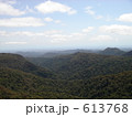 Springbrook National Park