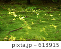 苔ー1