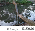 おとめ山公園