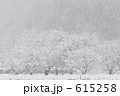615258
