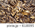 魚群 2