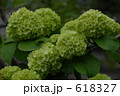618327