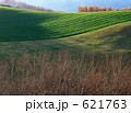 621763